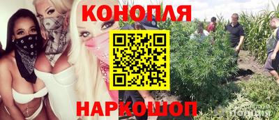 герыч Аргун